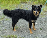 Max - Photo 1