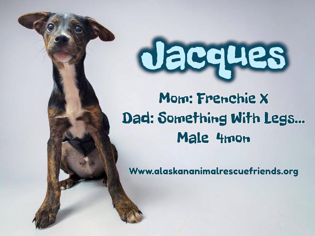Jacques Image