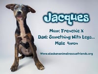 Jacques - Photo 1