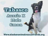 Tabasco - Photo 1