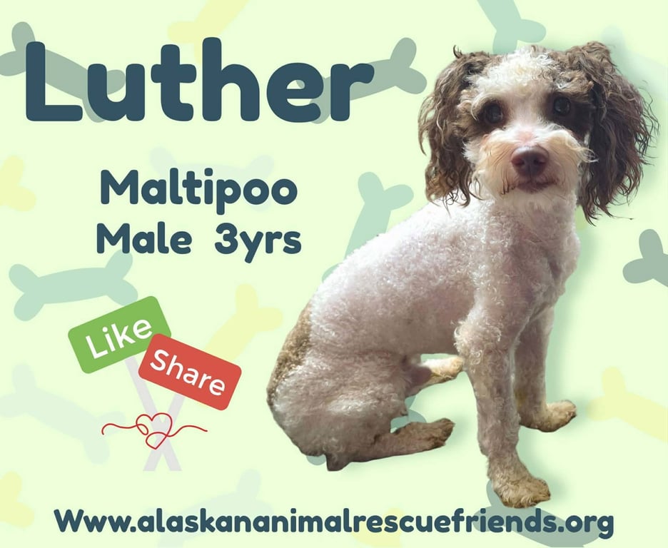 Luther Image