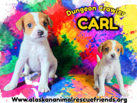 Dungeon Crawler Carl - Photo 1
