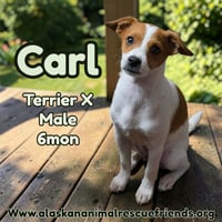 Carl - Photo 1