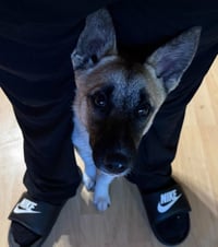 Lil Pete - Photo 2