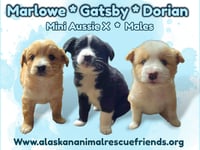Marlowe - Photo 1