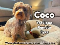 Coco - Photo 1