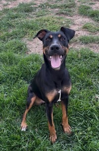 Daphne - Photo 5
