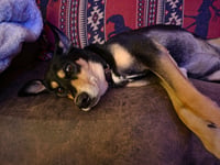 Bug - Photo 5