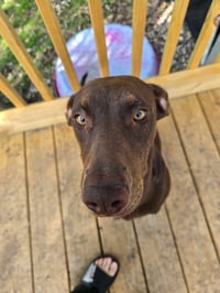 Sally - Photo 7