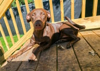 Sally - Photo 6