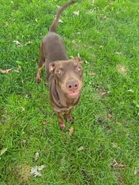 Sally - Photo 9