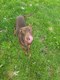 Sally - Photo 8