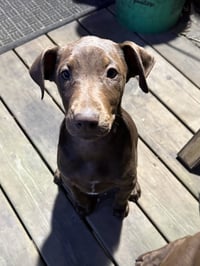 Sally - Photo 2