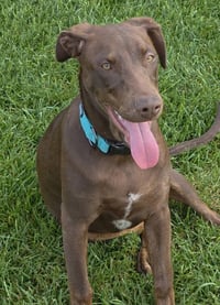 Sally - Photo 12