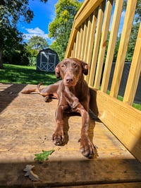 Sally - Photo 2