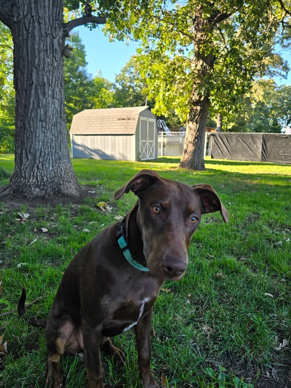Sally Image