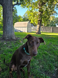 Sally - Photo 1