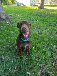 Sally - Photo 4