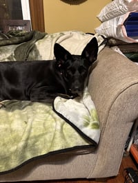 Tia - Photo 5