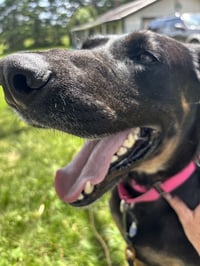 Tia - Photo 2