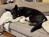 Tia - Photo 3