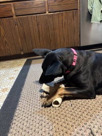 Tia - Photo 7