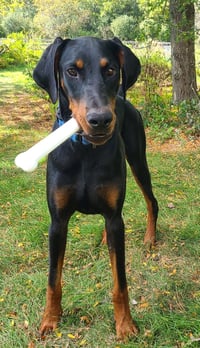 Ember - Photo 3