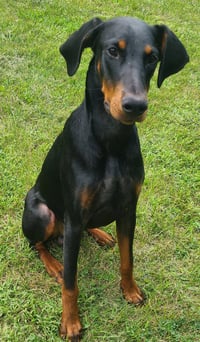 Ember - Photo 6