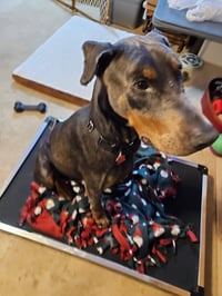 Roscoe - Photo 6