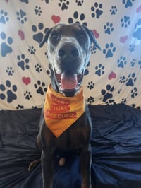 Roscoe - Photo 2
