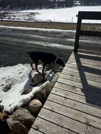 Blue - Photo 9