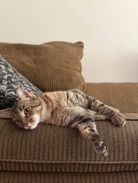 Saturday - Photo 3