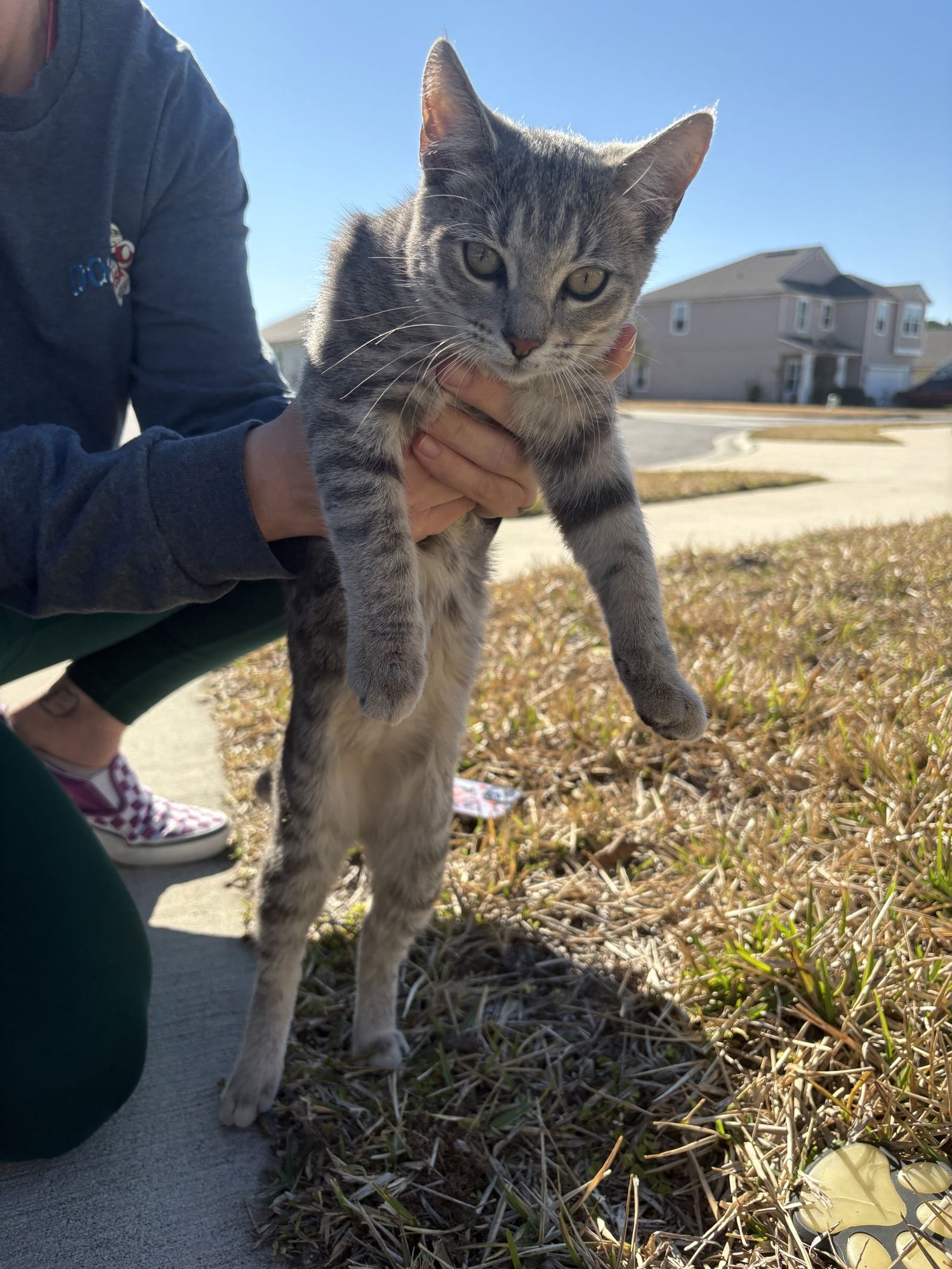 Marilyn Monroe - Photo 3