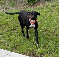Betty Wiggles - Photo 1