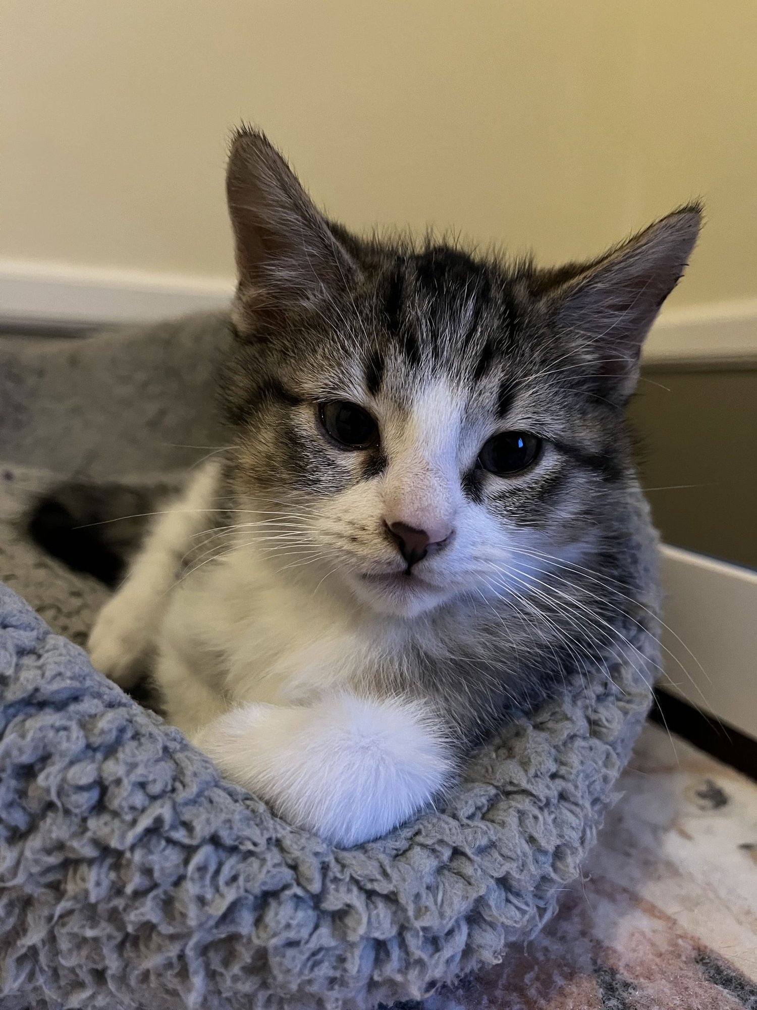 Barnacle & Turtle - Photo 4