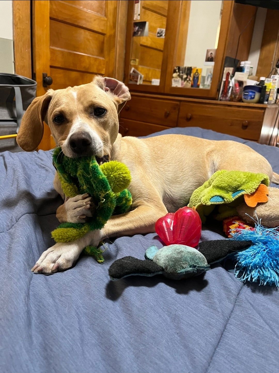 Everything Bagel - Photo 3