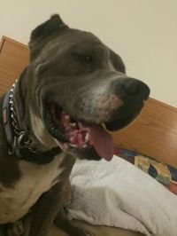 GEORGE - Photo 5