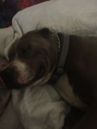 GEORGE - Photo 6