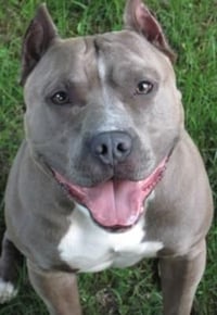 GEORGE - Photo 4