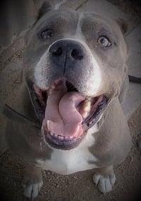 GEORGE - Photo 1
