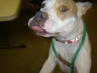 MILLIE - Photo 8