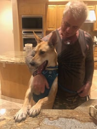 DIXIE - Photo 8