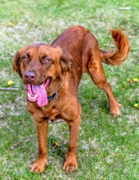 June Carter - Photo 4