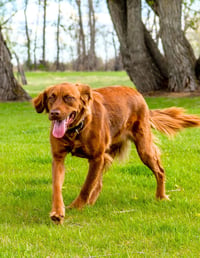 June Carter - Photo 5