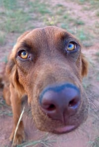 June Carter - Photo 15