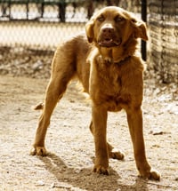 June Carter - Photo 18
