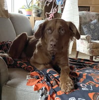 June Carter - Photo 14