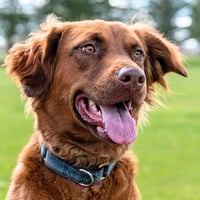 June Carter - Photo 3