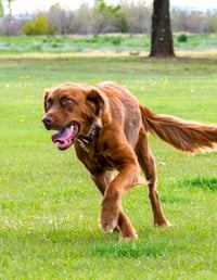 June Carter - Photo 7