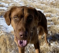 June Carter - Photo 10